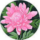 Kinga D. profile picture